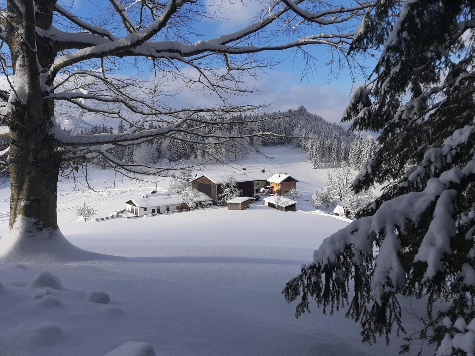 Bauernhof Ablass Goestling an der Ybbs Exterior photo